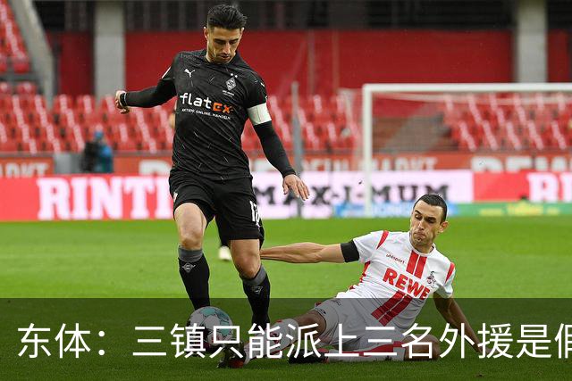 东体：三镇只能派上三名外援是假消息 于根伟边直播边看球
